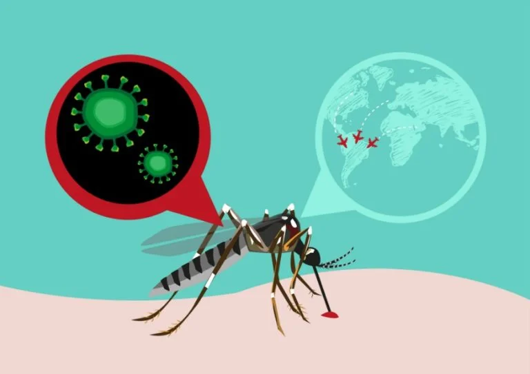 Zika Vírus: o que você precisa saber sobre essa doença