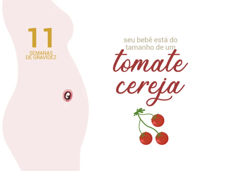 11 semanas de gravidez
