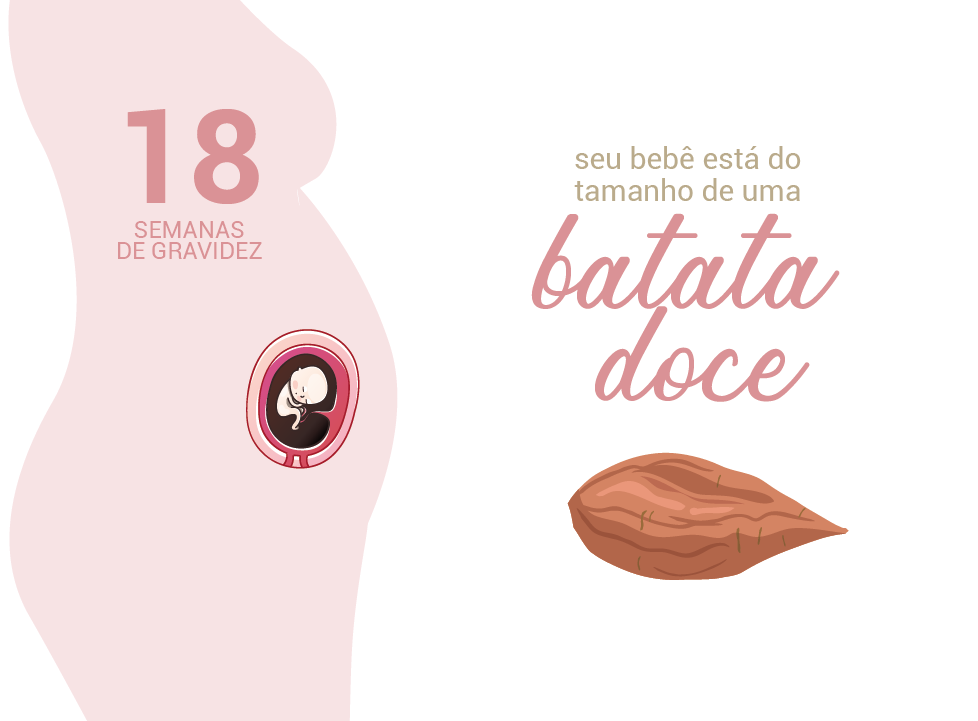 18 Semanas De Gravidez Blog Da Cordvida 