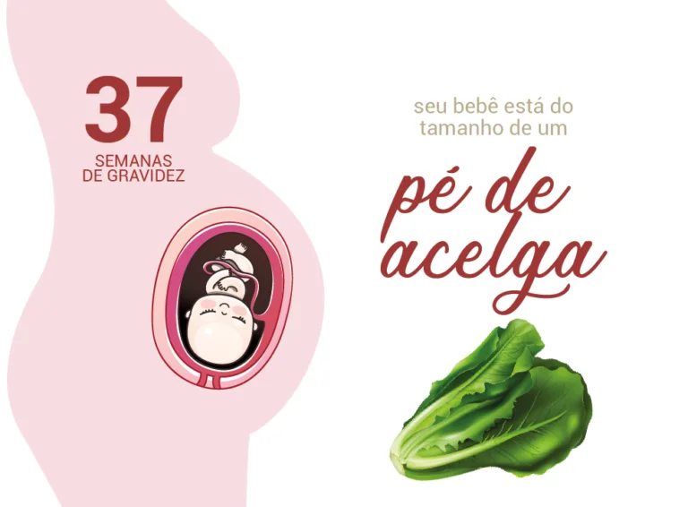 37 semanas de gravidez