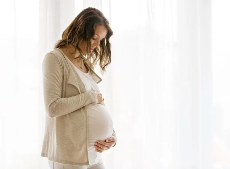 Manual da grávida: guia de saúde da gestante