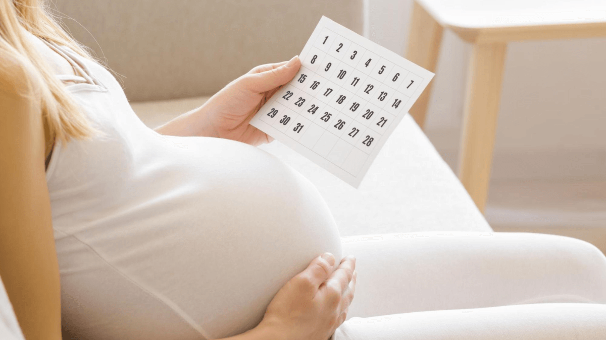 Calculadora gestacional: veja como descobrir o provável dia do seu parto
